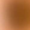 WellHungM27