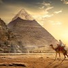 Ahmed