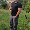 Mike Hunt 