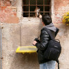 Sneaky Cat