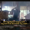 ANU