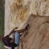 Rohit